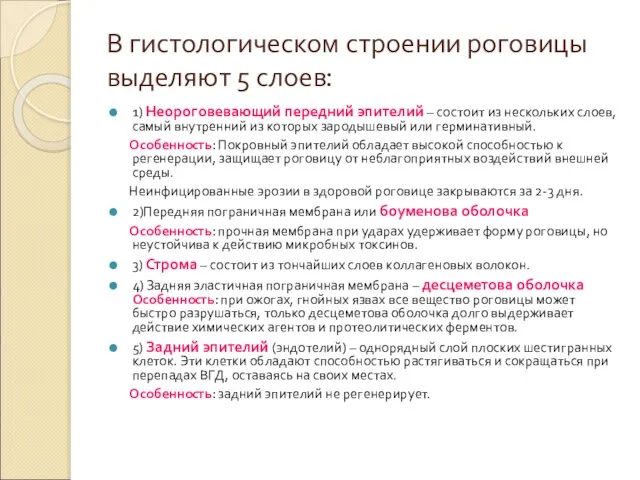 В гистологическом строении роговицы выделяют 5 слоев: 1) Неороговевающий передний эпителий