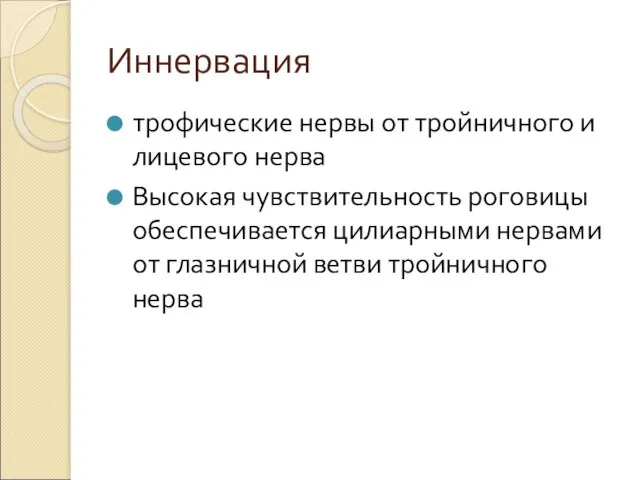 Иннервация трофические нервы от тройничного и лицевого нерва Высокая чувствительность роговицы