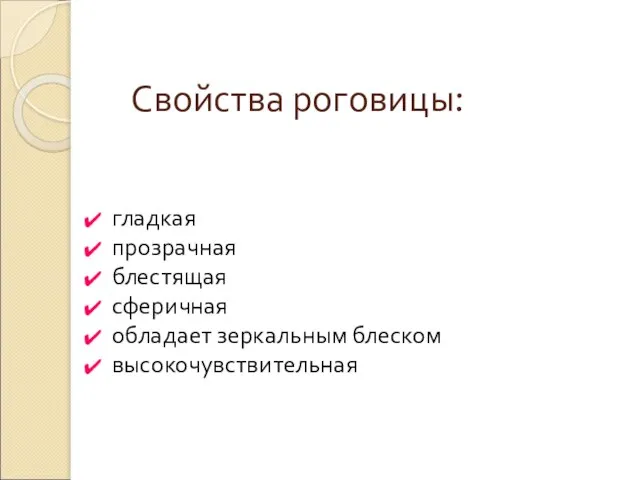 Свойства роговицы: гладкая прозрачная блестящая сферичная обладает зеркальным блеском высокочувствительная