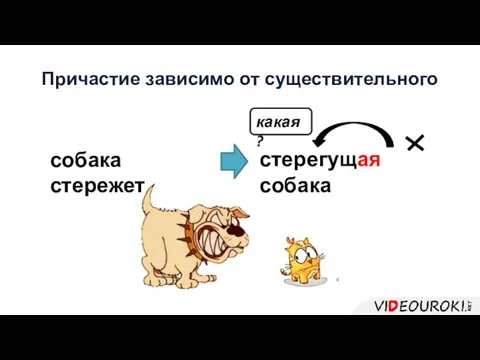 собака стережет стерегущая собака какая? Причастие зависимо от существительного