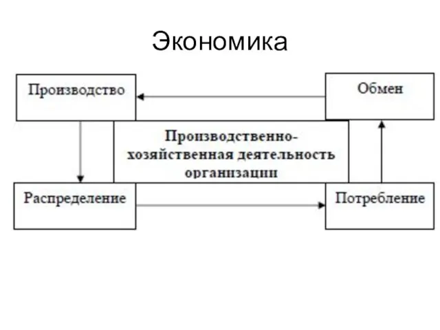 Экономика