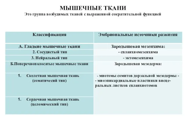 МЫШЕЧНЫЕ ТКАНИ Это группа возбудимых тканей с выраженной сократительной функцией