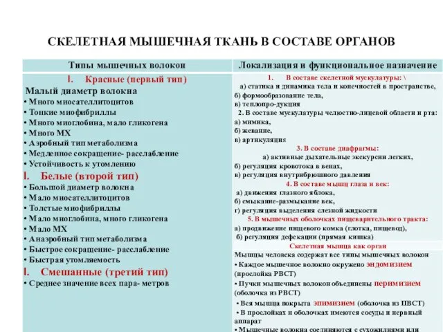 СКЕЛЕТНАЯ МЫШЕЧНАЯ ТКАНЬ В СОСТАВЕ ОРГАНОВ