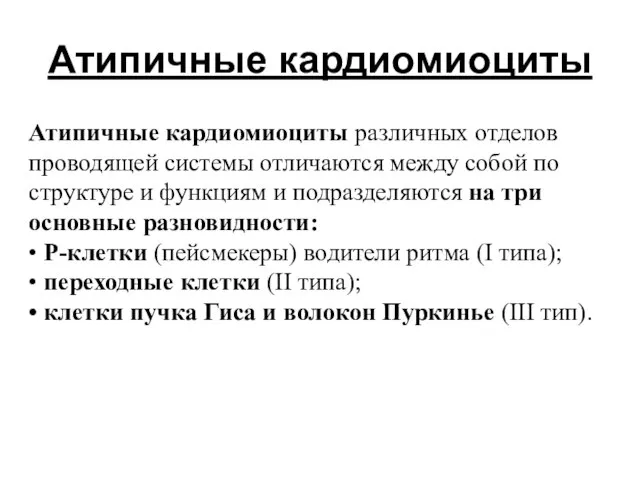 Атипичные кардиомиоциты Атипичные кардиомиоциты различных отделов проводящей системы отличаются между собой