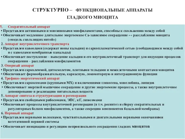 СТРУКТУРНО – ФУНКЦИОНАЛЬНЫЕ АППАРАТЫ ГЛАДКОГО МИОЦИТА