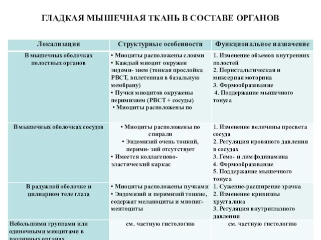 ГЛАДКАЯ МЫШЕЧНАЯ ТКАНЬ В СОСТАВЕ ОРГАНОВ