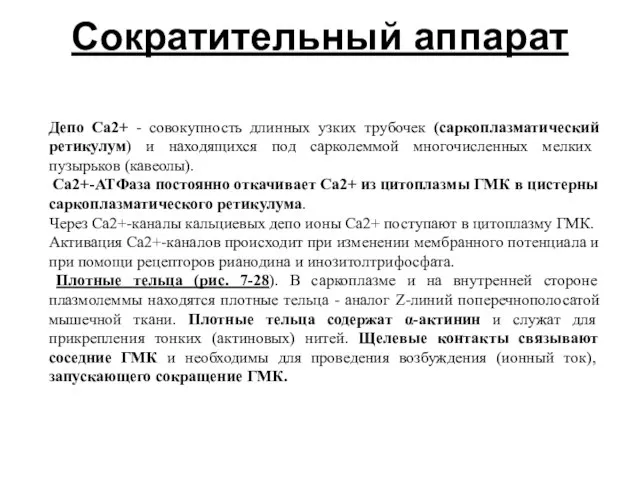 Сократительный аппарат Депо Ca2+ - совокупность длинных узких трубочек (саркоплазматический ретикулум)