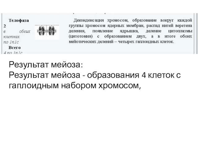 Результат мейоза: Результат мейоза - образования 4 клеток с гаплоидным набором хромосом,