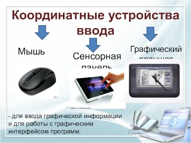 Координатные устройства ввода Мышь Сенсорная панель Графический планшет - для ввода