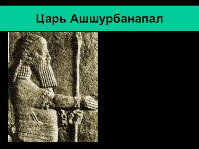 Царь Ашшурбанапал Ашшурбанапал- последний значительный царь Ассирии (669-630 гг. до н.э.).