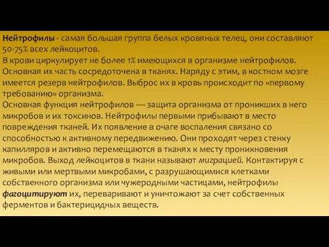 Нейтрофилы - самая большая группа белых кровяных телец, они составляют 50-75%