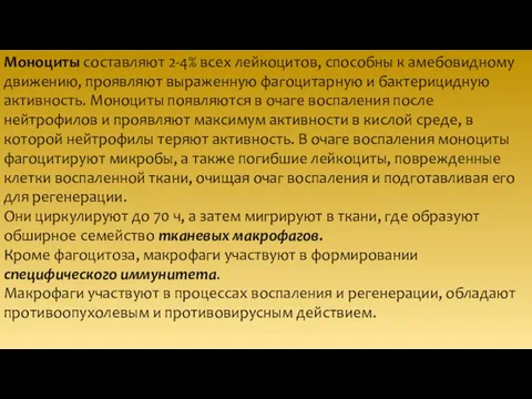 Моноциты составляют 2-4% всех лейкоцитов, способны к амебовидному движению, проявляют выраженную