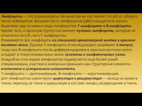 Лимфоциты — это агранулоциты. Количество их составляет 20-30% от общего числа