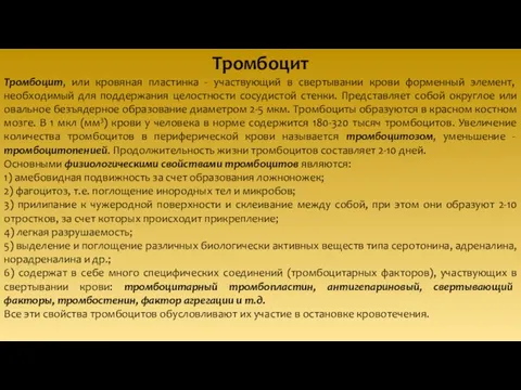 Тромбоцит Тромбоцит, или кровяная пластинка - участвующий в свертывании крови форменный