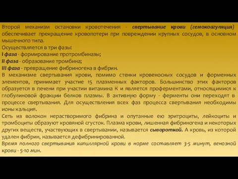 Второй механизм остановки кровотечения - свертывание крови (гемокоагуляция) обеспечивает прекращение кровопотери