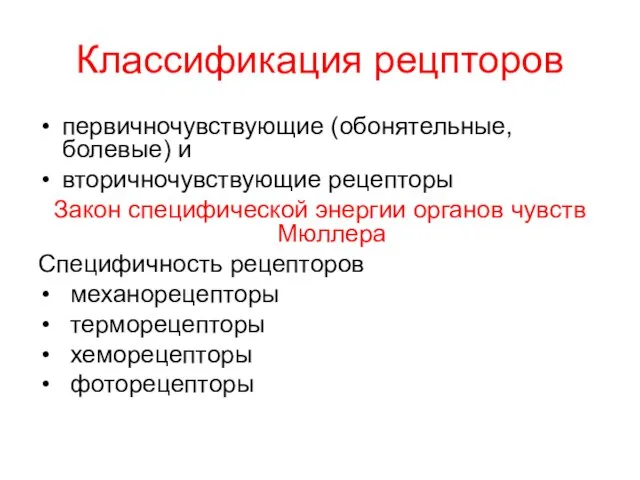 Классификация рецпторов первичночувствующие (обонятельные, болевые) и вторичночувствующие рецепторы Закон специфической энергии