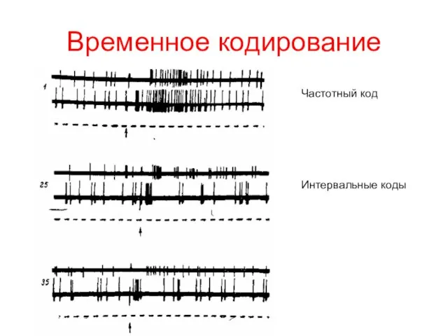 Временное кодирование Частотный код Интервальные коды