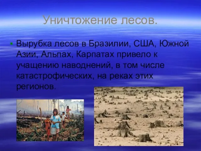 Уничтожение лесов. Вырубка лесов в Бразилии, США, Южной Азии, Альпах, Карпатах