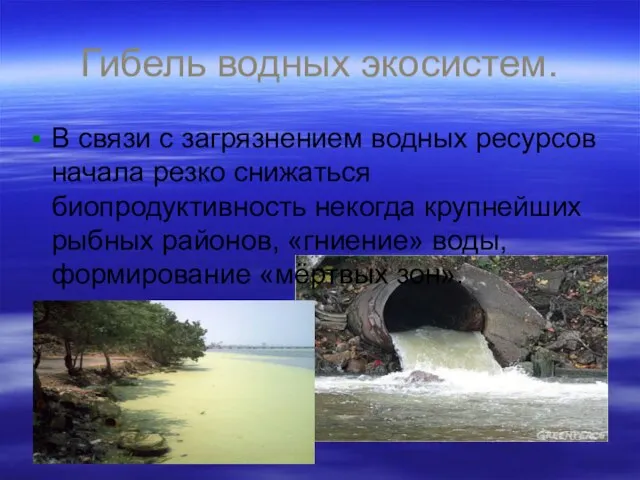 Гибель водных экосистем. В связи с загрязнением водных ресурсов начала резко