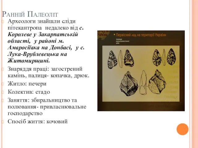 Ранній Палеоліт Археологи знайшли сліди пітекантропа недалеко від с. Королеве у