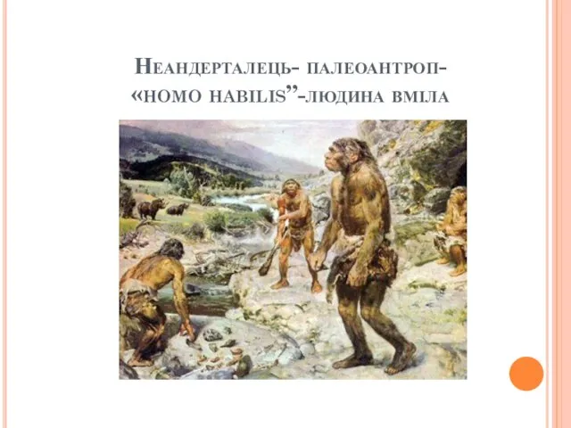 Неандерталець- палеоантроп- «homo habilis”-людина вміла
