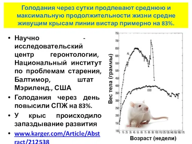 Голодания через сутки продлевают среднюю и максимальную продолжительности жизни средне живущим