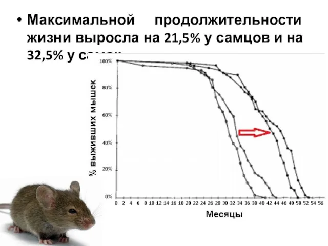 Максимальной продолжительности жизни выросла на 21,5% у самцов и на 32,5% у самок.