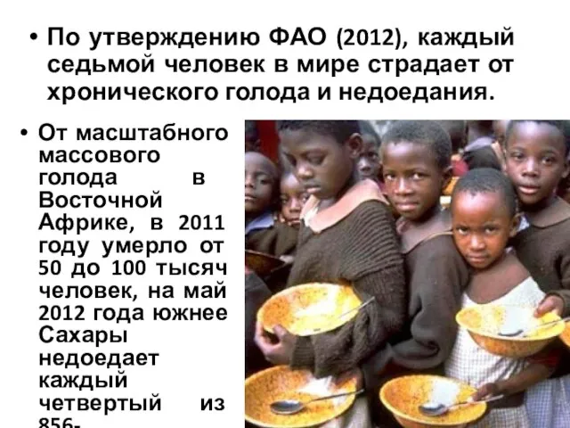 По утверждению ФАО (2012), каждый седьмой человек в мире страдает от