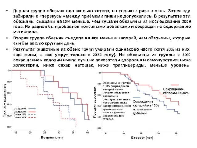 Первая группа обезьян ела сколько хотела, но только 2 раза в