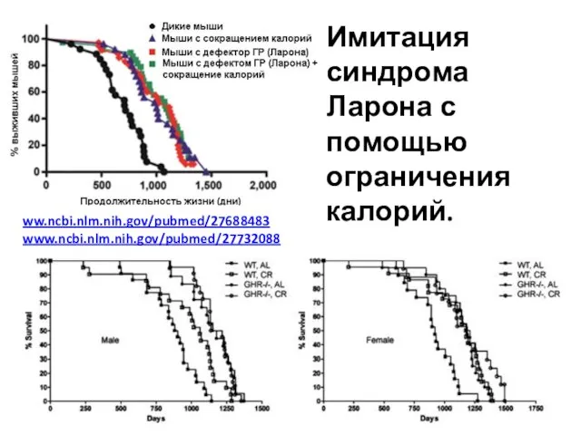 Имитация синдрома Ларона с помощью ограничения калорий. ww.ncbi.nlm.nih.gov/pubmed/27688483 www.ncbi.nlm.nih.gov/pubmed/27732088