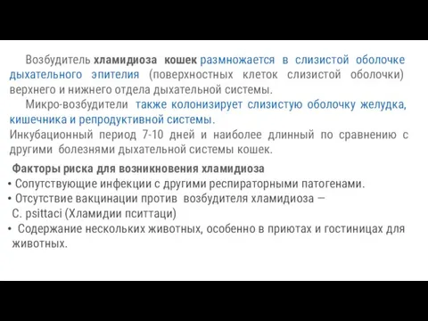 Возбудитель хламидиоза кошек размножается в слизистой оболочке дыхательного эпителия (поверхностных клеток