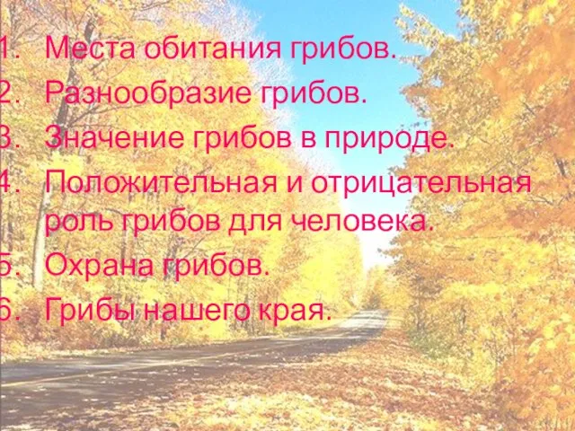 Места обитания грибов. Разнообразие грибов. Значение грибов в природе. Положительная и