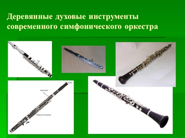 Деревянные духовые инструменты современного симфонического оркестра