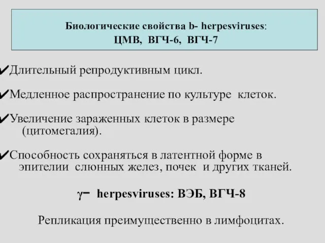 Биологические свойства b- herpesviruses: ЦМВ, ВГЧ-6, ВГЧ-7 Длительный репродуктивным цикл. Медленное