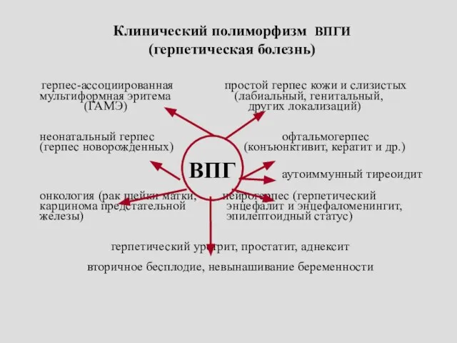 Клинический полиморфизм ВПГИ (герпетическая болезнь) герпес-ассоциированная простой герпес кожи и слизистых