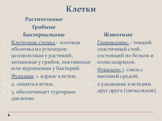 Растительные Грибные Бактериальные Клеточная стенка – плотная оболочка из углеводов: целлюлозная