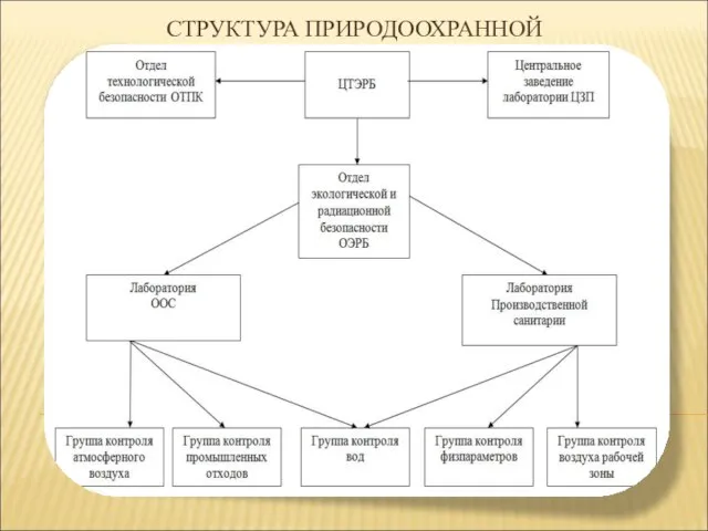 СТРУКТУРА ПРИРОДООХРАННОЙ СЛУЖБЫ ОАО «ММЗ»