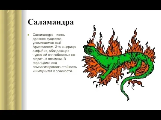 Саламандра Саламандра - очень древнее существо, упоминаемое ещё Аристотелем. Это ящерица-амфибия,