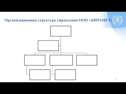 Организационная структура управления ООО «КИРАМЕТ»