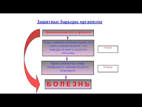 Проникновение м/о в организм Кожа, слизистые оболочки (слёзы, пот, слюна, соляная