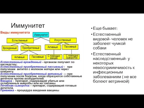 Иммунитет Еще бывает: Естественный видовой- человек не заболеет чумкой собаки Естественный