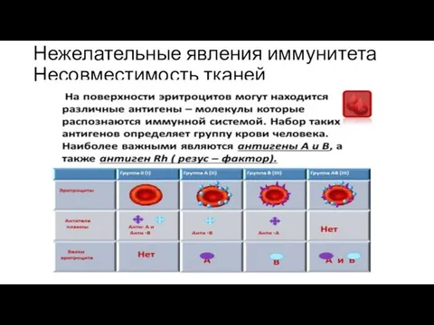 Нежелательные явления иммунитета Несовместимость тканей