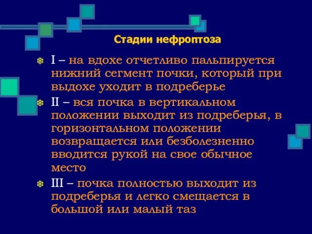 Стадии нефроптоза I – на вдохе отчетливо пальпируется нижний сегмент почки,