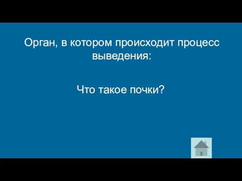 Что такое почки? Орган, в котором происходит процесс выведения: