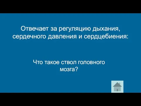 Что такое ствол головного мозга? Отвечает за регуляцию дыхания, сердечного давления и сердцебиения: