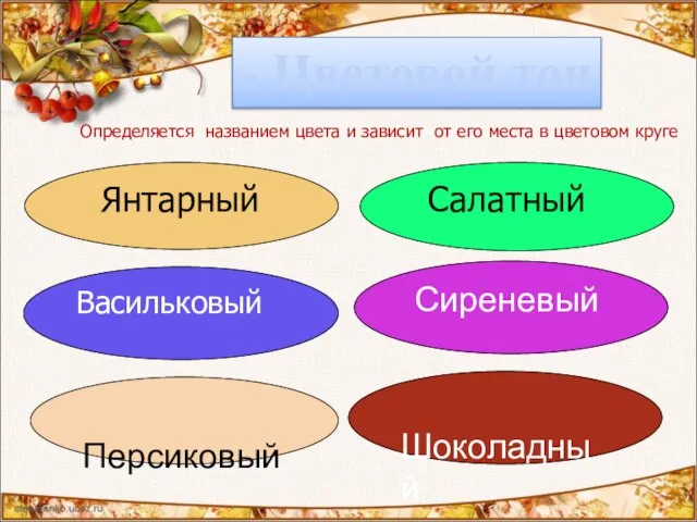 - Цветовой тон Определяется названием цвета и зависит от его места