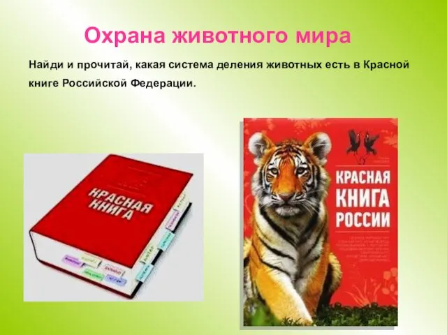 Охрана животного мира Найди и прочитай, какая система деления животных есть в Красной книге Российской Федерации.