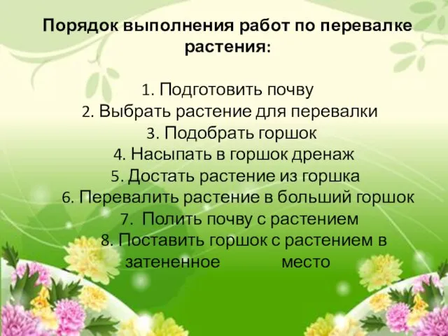 Порядок выполнения работ по перевалке растения: 1. Подготовить почву 2. Выбрать