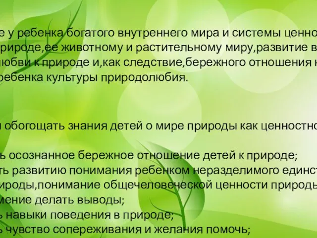 Для осуществления работы с детьми старшей группы по экологическому воспитанию был