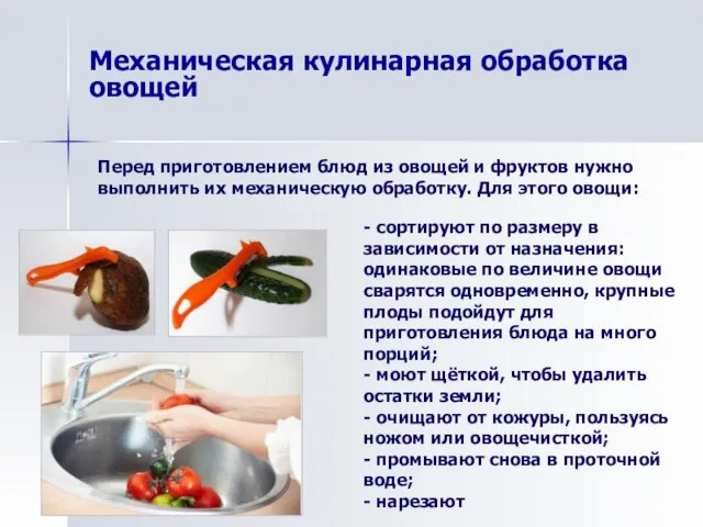 Механическая кулинарная обработка овощей - сортируют по размеру в зависимости от